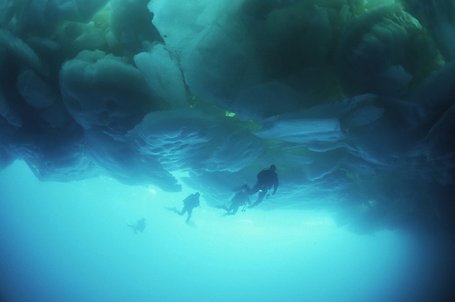 流氷ダイビング